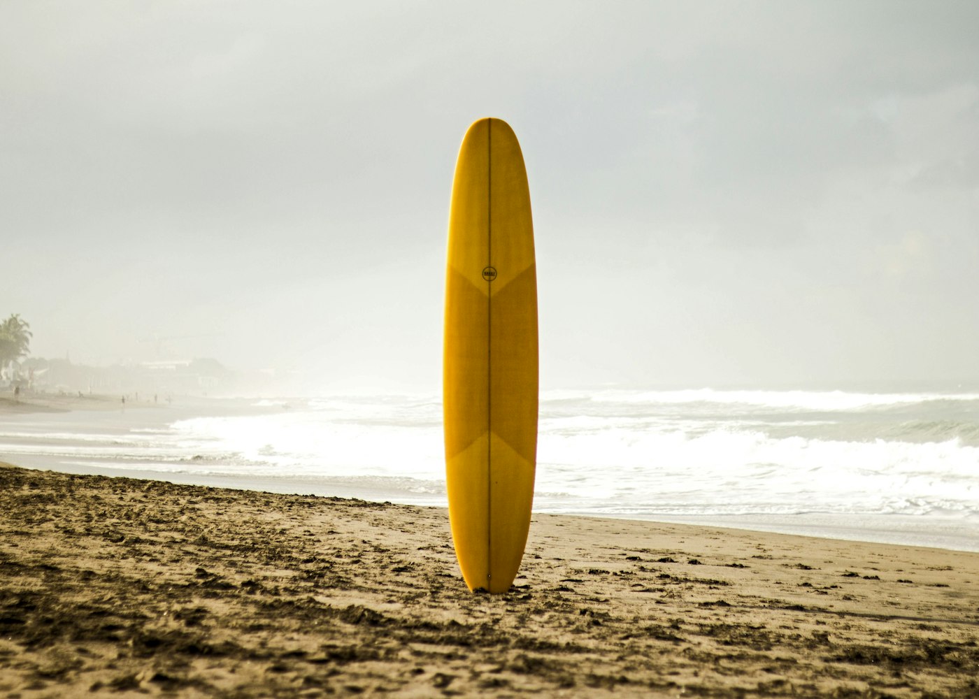 Surfeur à contre-jour sur une vague de la Côte des Basques